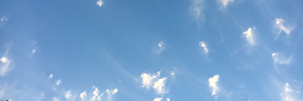_Mandy_Morgan_'s profile banner image
