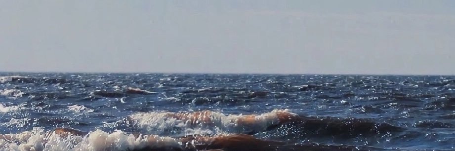 آل غانم banner