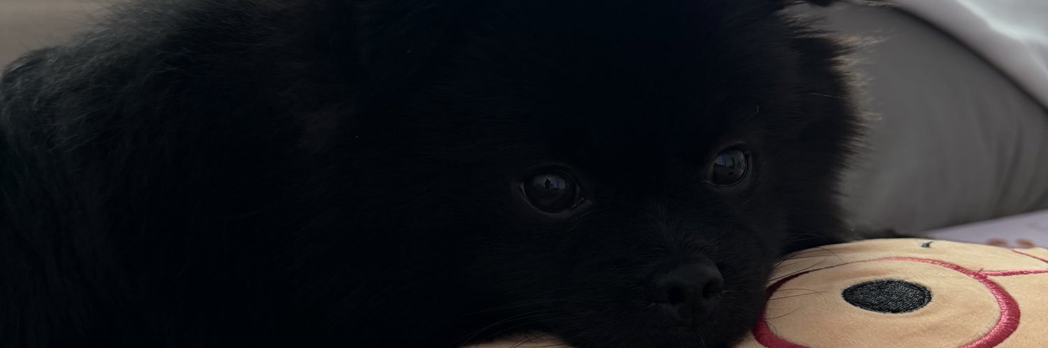daisythemogul's profile banner image