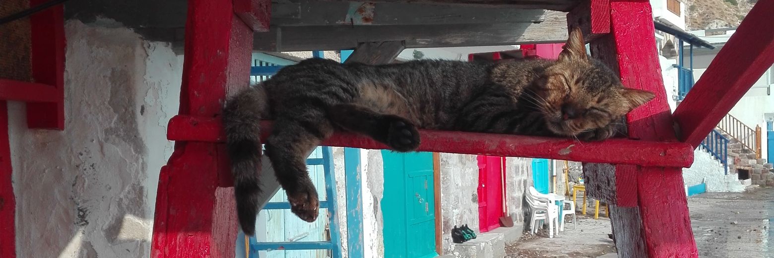 Eder Álvarez 🔻 banner