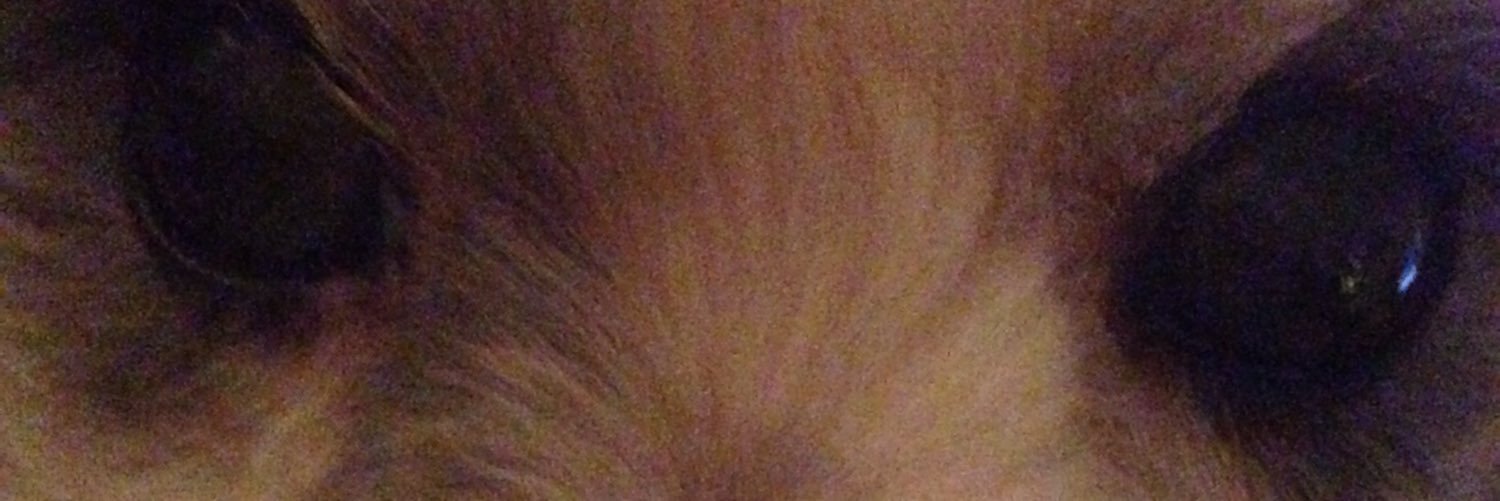 sylvana1983's profile banner image