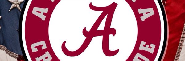 kingfisher6919 Profile Banner