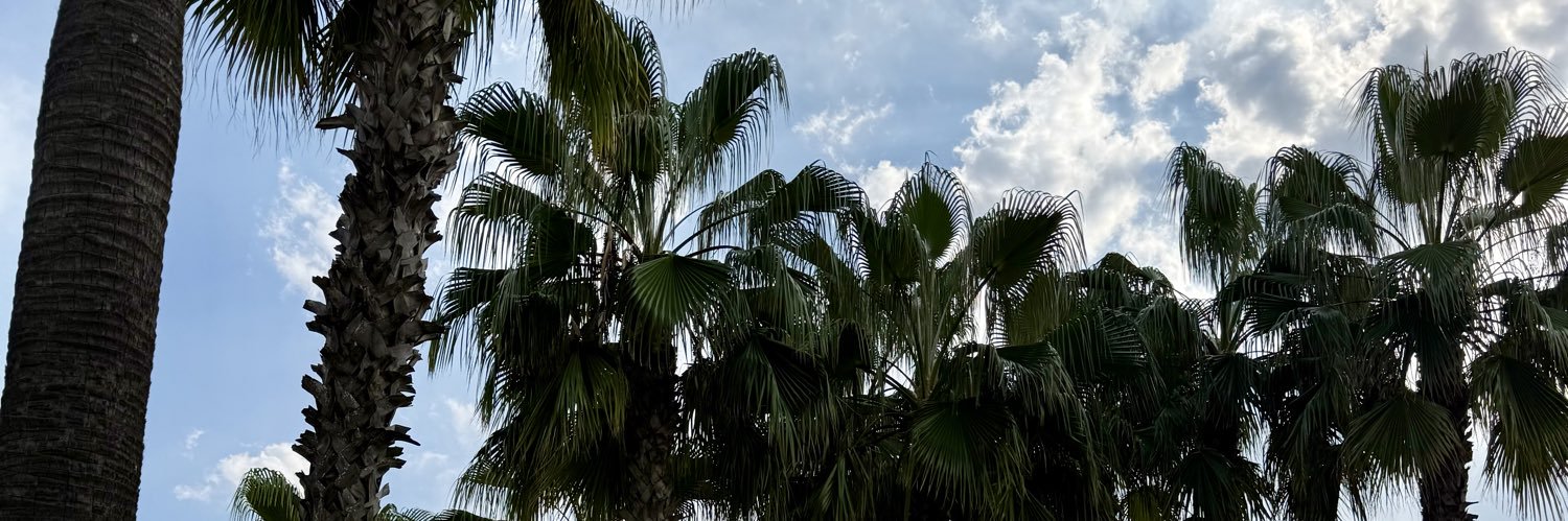 tugcemmguler's profile banner image