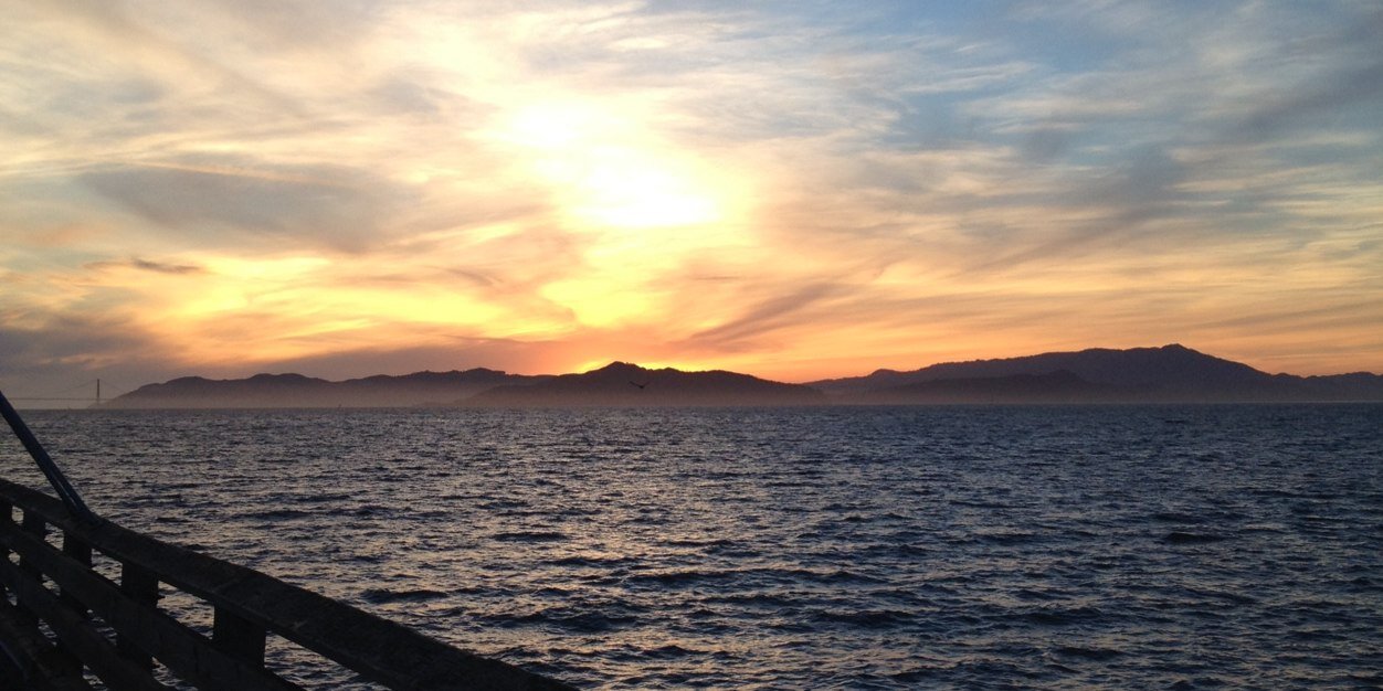 Michael O'Konis banner