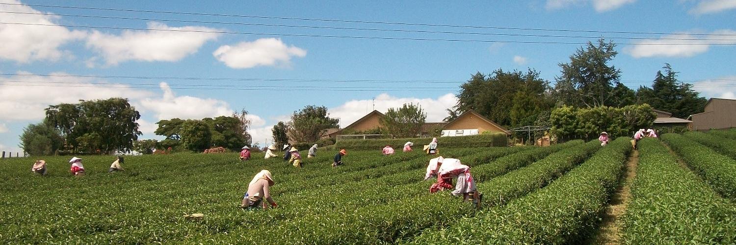 getyourteaon's profile banner image