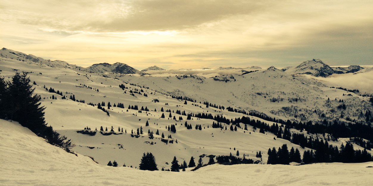 teammjl's profile banner image