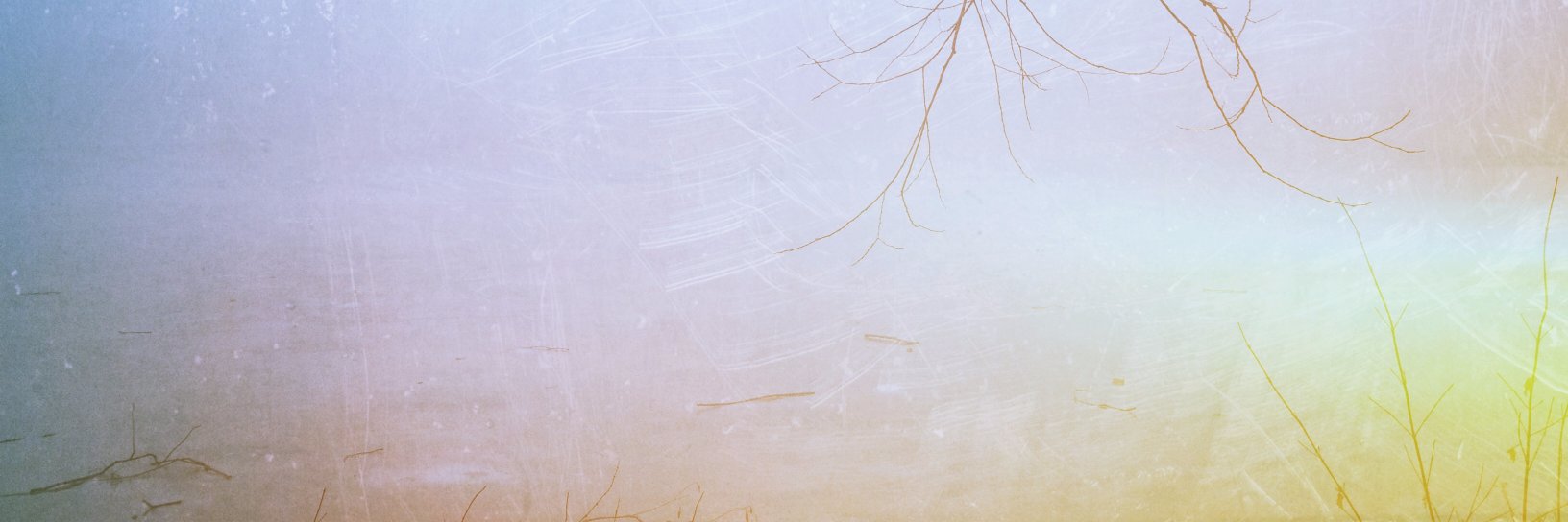 Heather_Balmain's profile banner image
