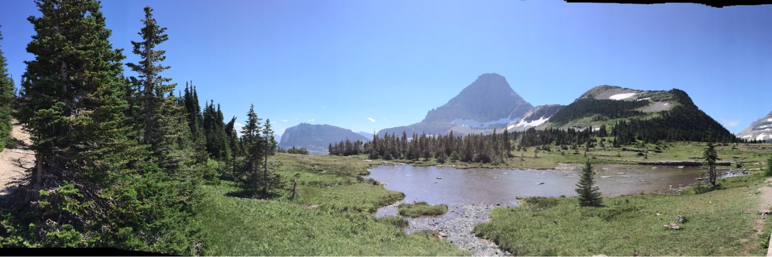 Linnea S Lange banner