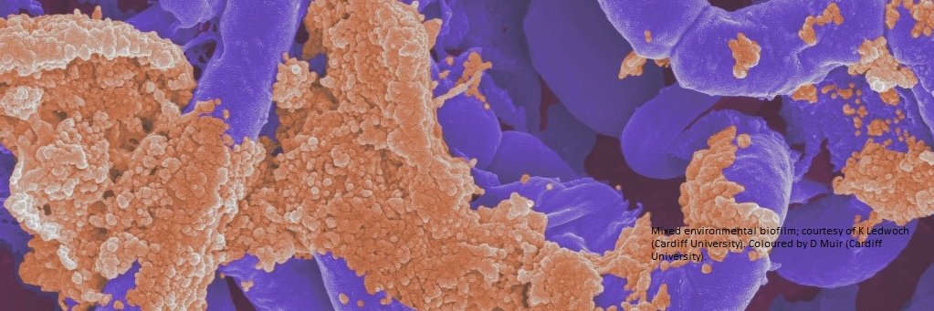 CITER, Cardiff University banner