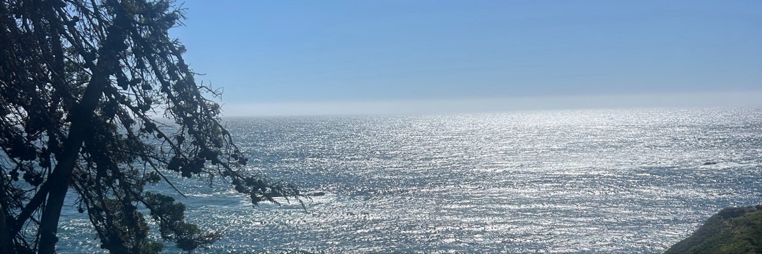 Sfbeard's profile banner image
