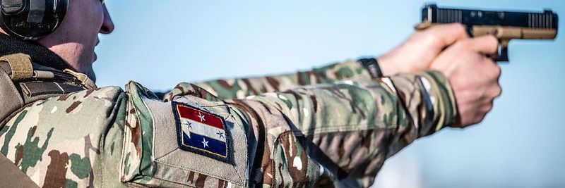 1er corps d'armée - 1 French Corps banner