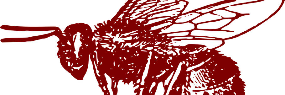 higswriter's profile banner image