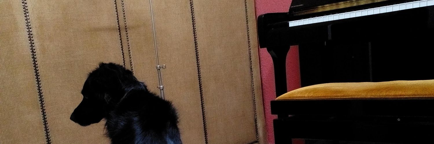 misisol94's profile banner image