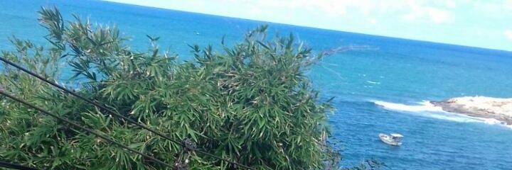 LaaaLinhares's profile banner image