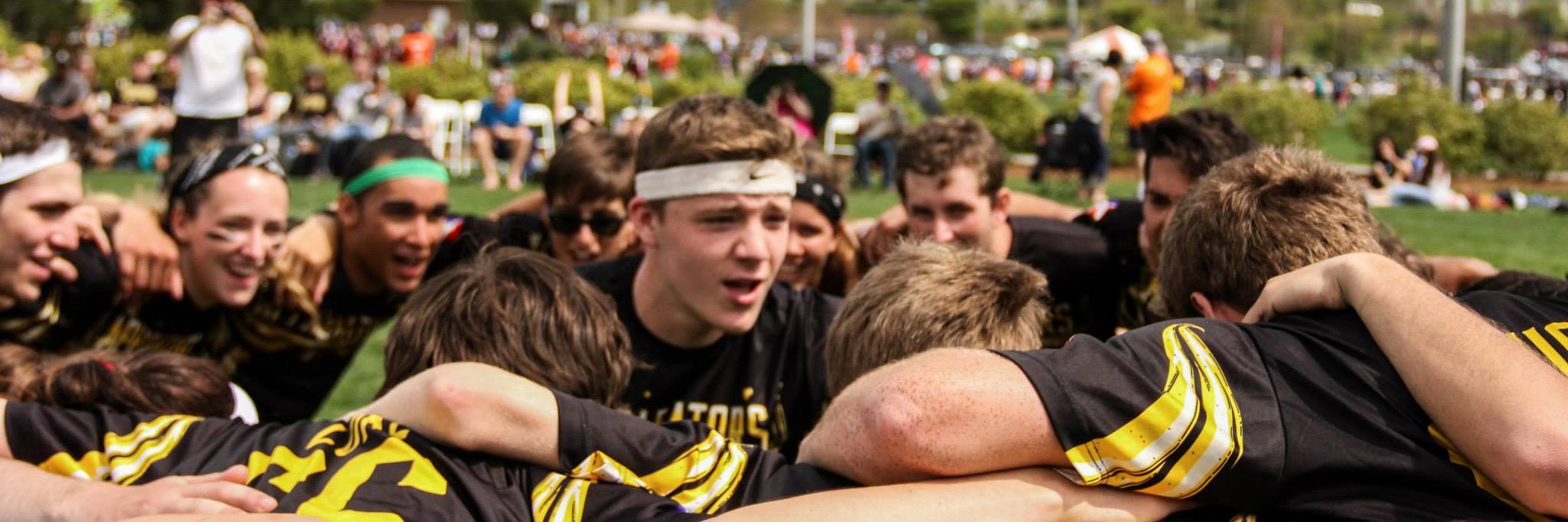 APPQuidditch's profile banner image