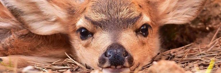 MagaliWetzel's profile banner image