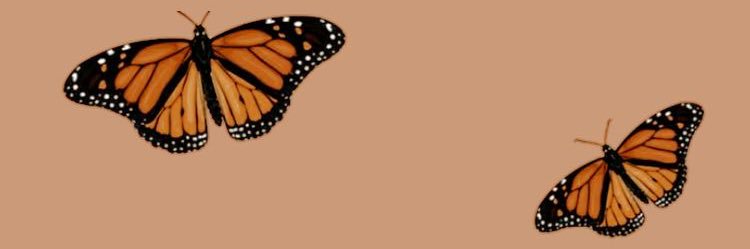 andreaa_arteaga's profile banner image