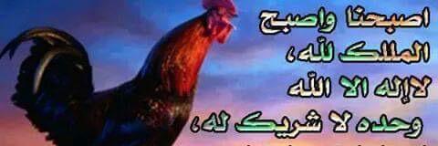 jumaaalrashedi's profile banner image