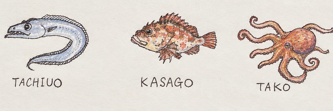 AnguillaXAngler's profile banner image