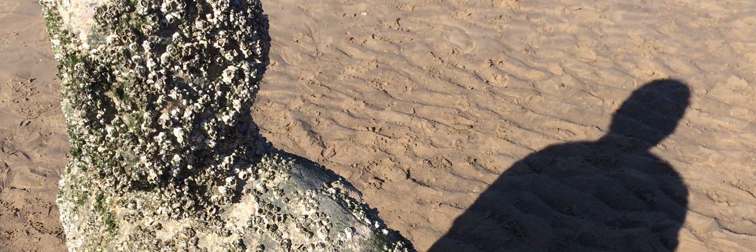 David Widdick banner