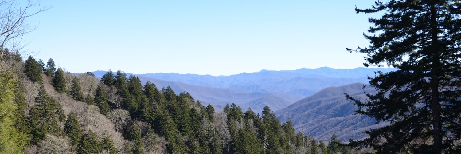 kikkitigerwolf banner