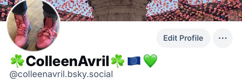 ☘️Colleen Avril ☘️🇪🇺💙 banner