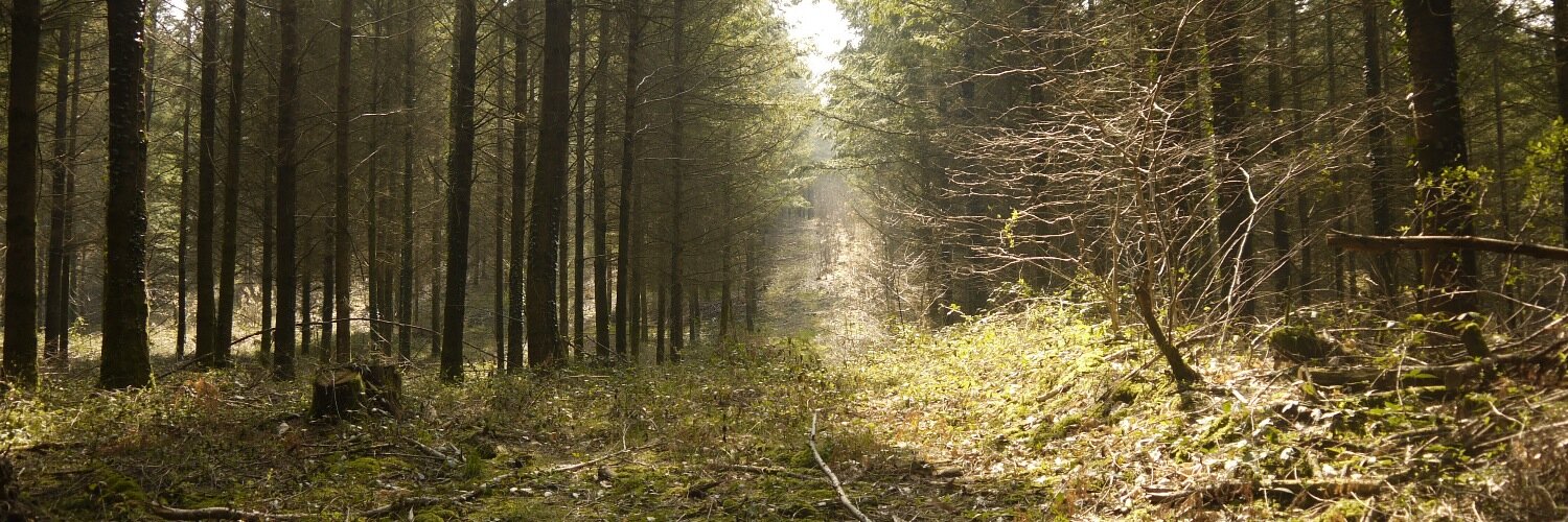 Alan Leishman banner