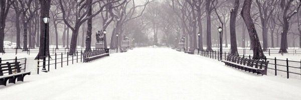 StainlessEdirin's profile banner image