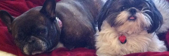 KateSpencer1's profile banner image