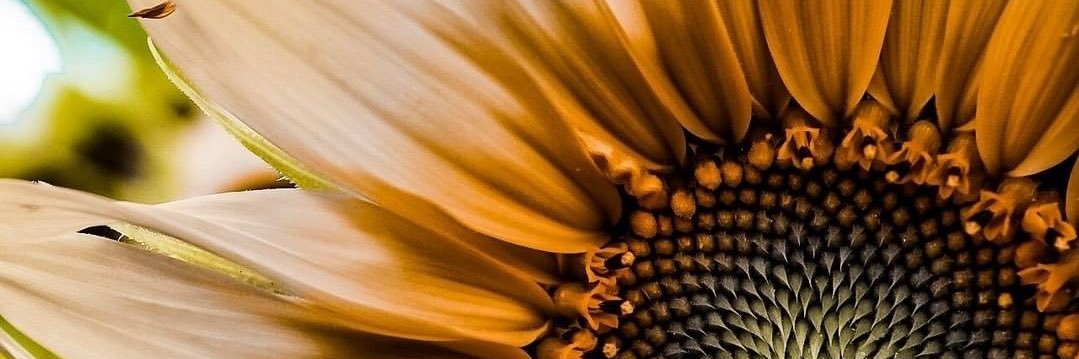 alb1104's profile banner image
