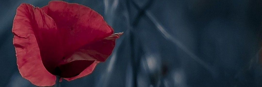 Damo_27's profile banner image