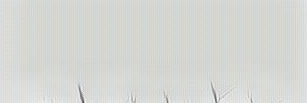 jjunggkookr's profile banner image