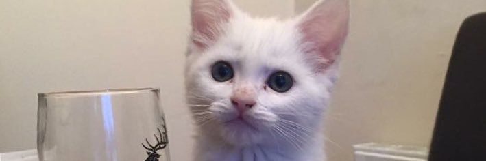 TheMrsFrazer's profile banner image