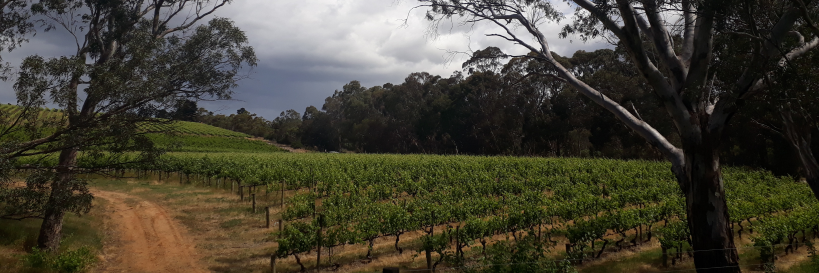 Florence Maffrand banner