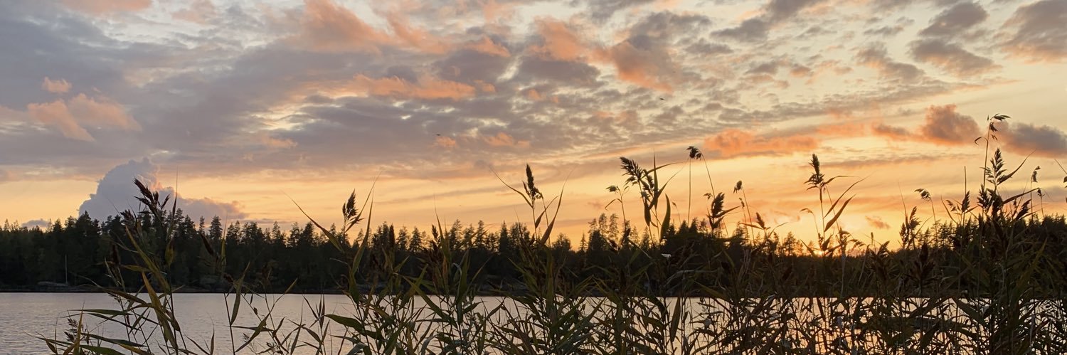 lempiantti's profile banner image