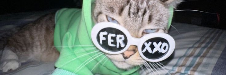 Franv66's profile banner image