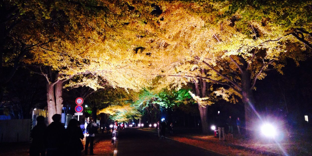 MrTa______myu's profile banner image