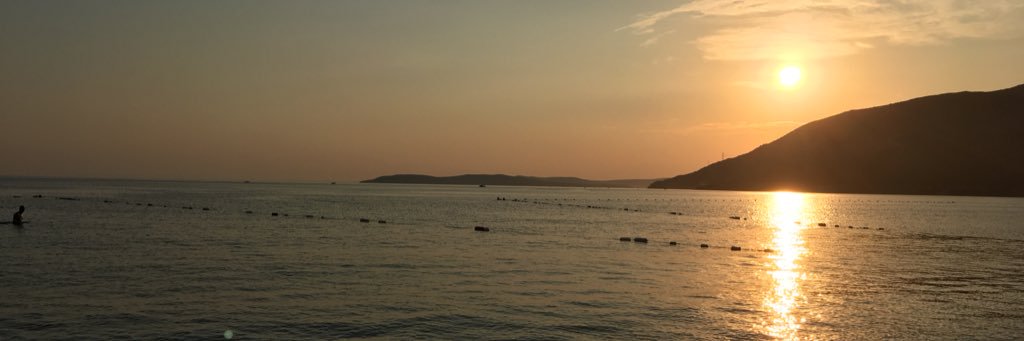 demirhalil's profile banner image
