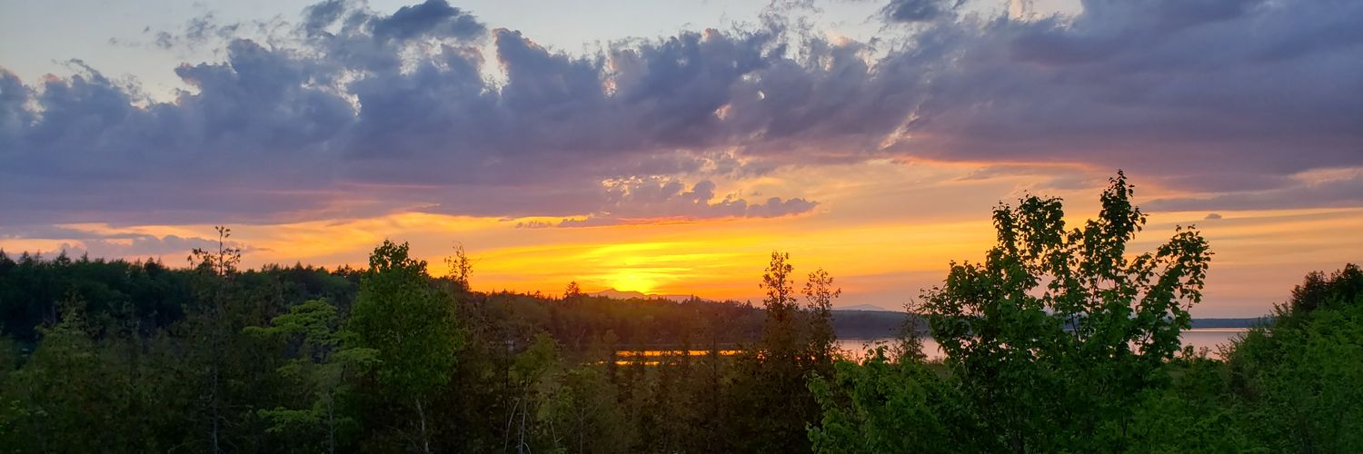 MacDonaldShawn's profile banner image