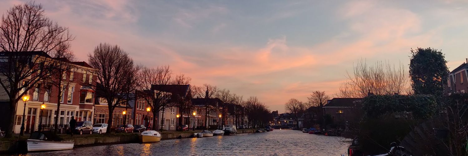 sylviavanlaar's profile banner image