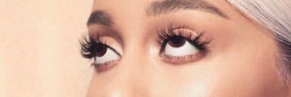 stipkins Profile Banner