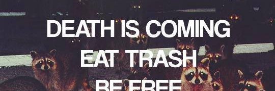 basHbergus's profile banner image