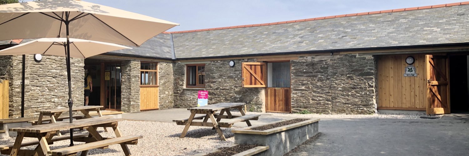 The Thirstea Co. banner