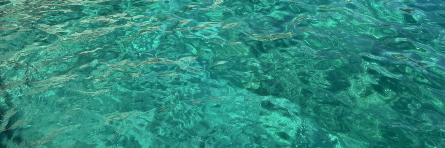 carlosolisr's profile banner image