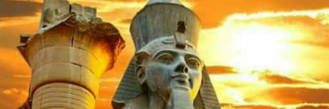 vikram20745195's profile banner image