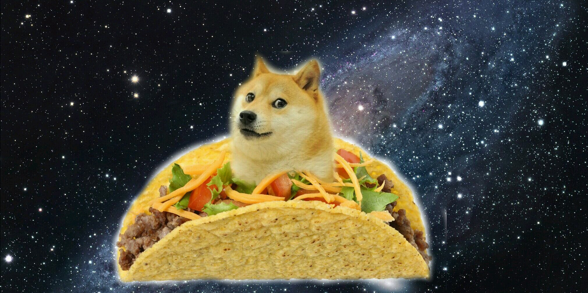 sofiesverden69's profile banner image