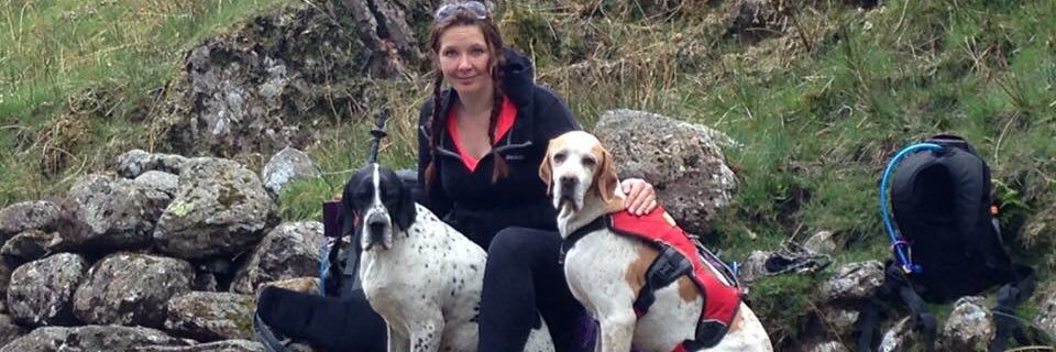 kellymet's profile banner image
