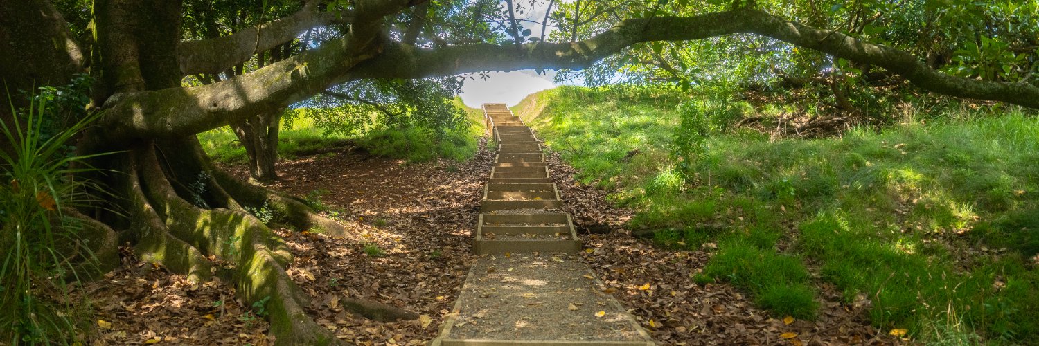 Auckland Council banner