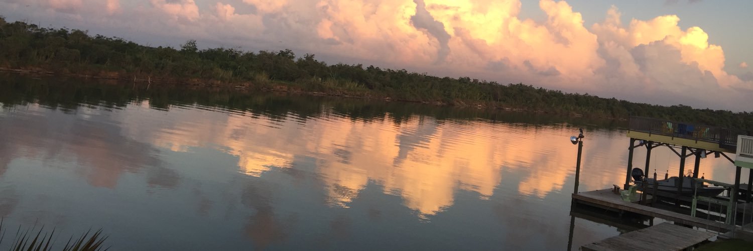 RheaFryar's profile banner image