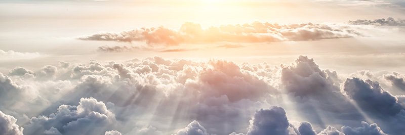 Victoria DeSantis banner